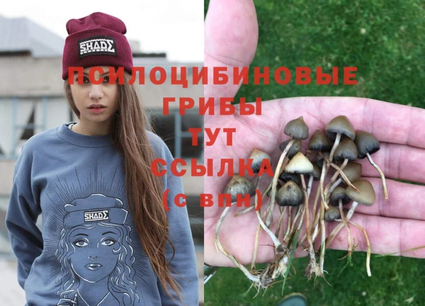 каннабис Каменногорск