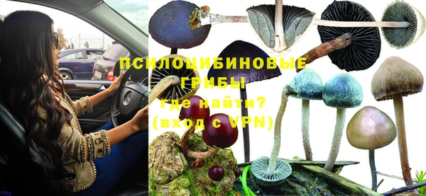 каннабис Каменногорск