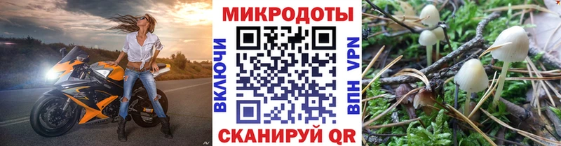 Купить  Ветлуга  Псилоцибиновые грибы Magic Shrooms 